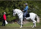 Pferd International 044